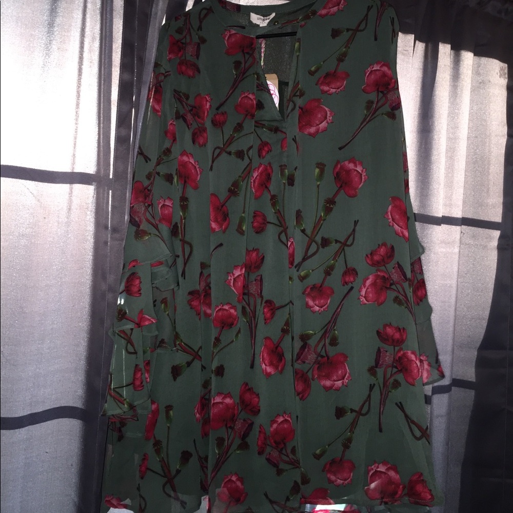 umgee tunic/dress